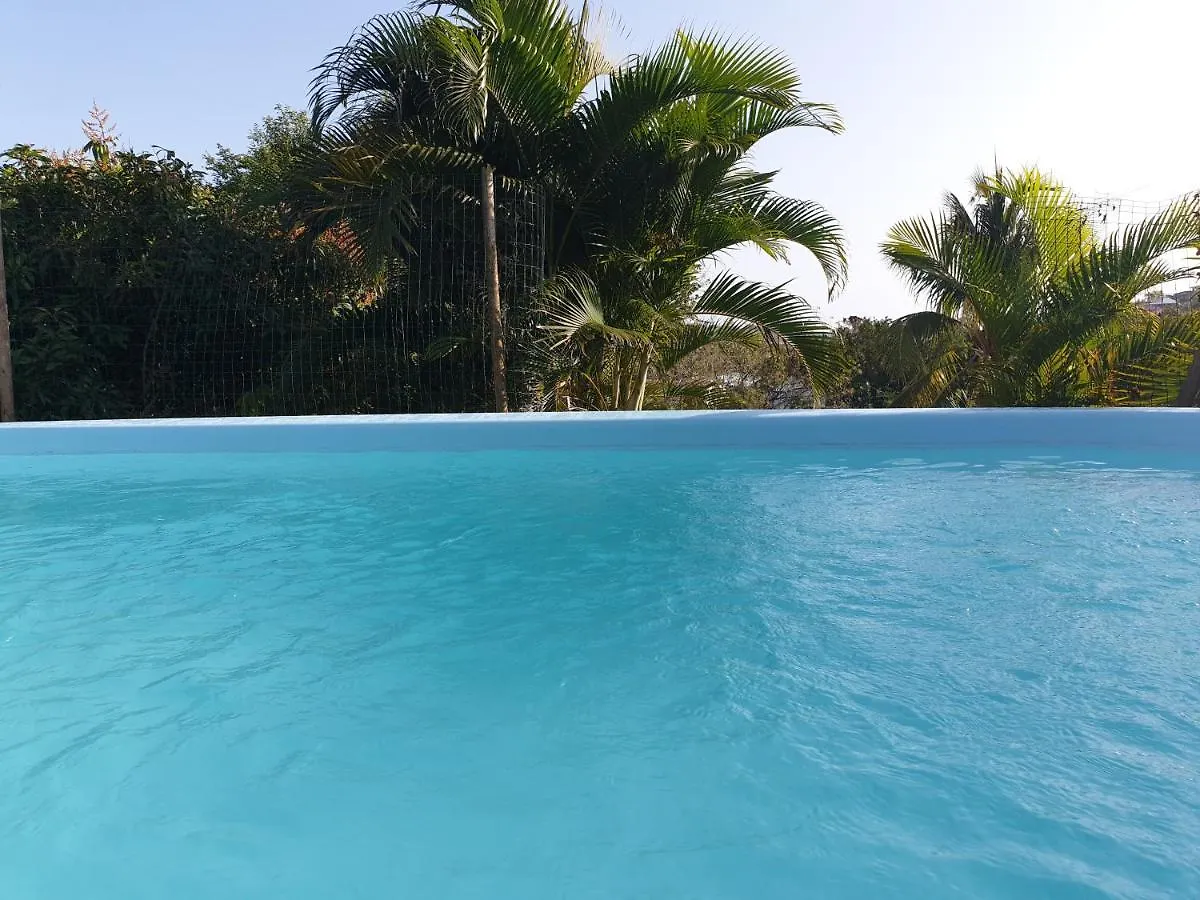 Le Goyav' Appart Avec Piscine Et Jacuzzi Au Vauclin Le Vauclin